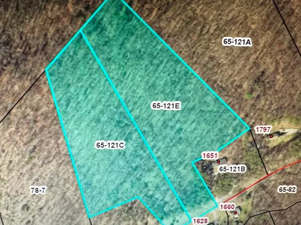 0 Pico Rd Lot 65, Buchanan, VA 24066