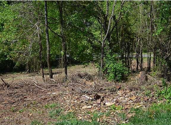 2nd image of 322 Knoll Creek Cir #18