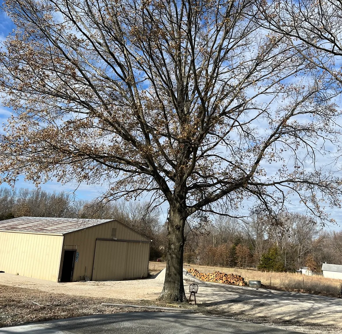 2 bed, 1200 sqft, $2,900 — Photo 3