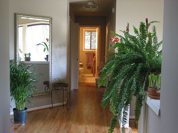 inside hallway