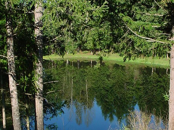Lake from the back deck