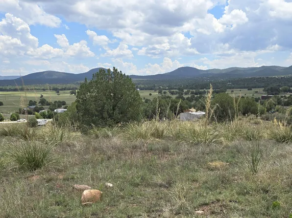 410 S Rolling Hills Rd, Young, AZ 85554