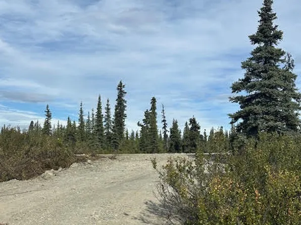 49296 S Timberwolf Rd, Sutton, AK 99674