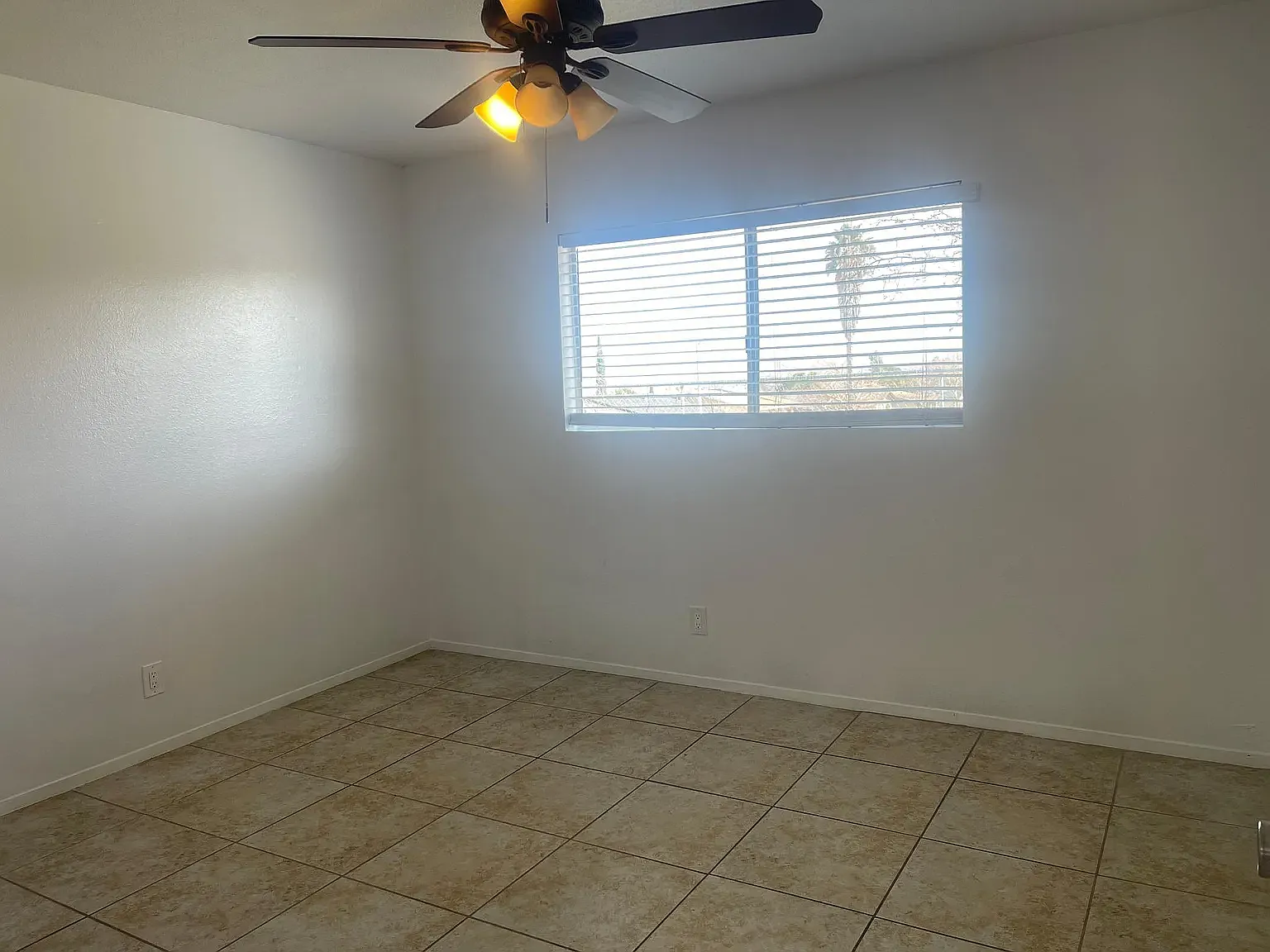 2 bed, 801 sqft, $2,400 — Photo 3
