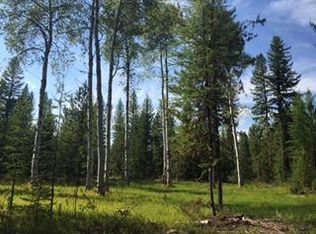 Nhn Boy Scout Rd, Seeley Lake, MT 59868