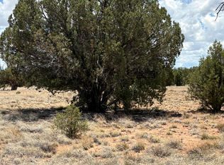 17 Pine Ln, Concho, AZ 85924