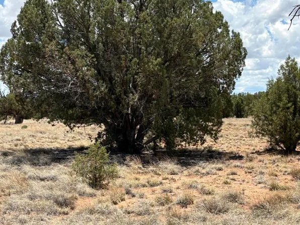 17 Pine Ln, Concho, AZ 85924