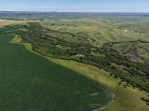 Dji Fly 20260710 090150 0091 1783781923627 Photo