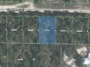 107 Frontenac St, Interlachen, FL 32148