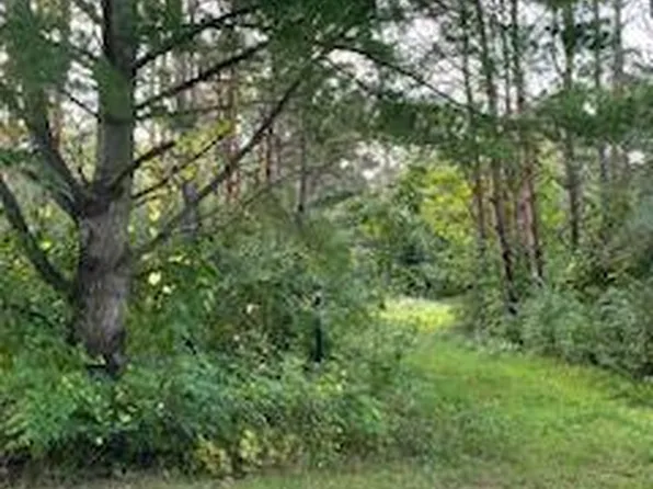 2946 Atkerson Dr, Caro, MI 48723