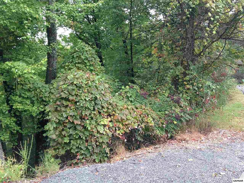 2nd image of Ginseng Way
