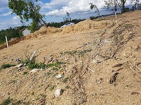 2nd image of 8108 Fallen Maple Dr