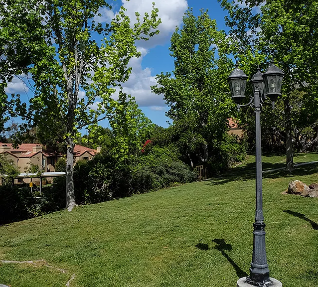 Shadowridge Summerwind — Photo 19