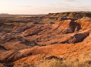 8825 Wild Horse Trl, Adamana, AZ 86029