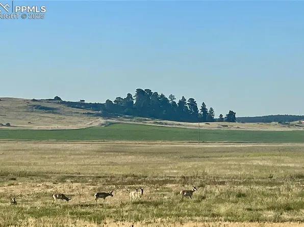 LOT 1 Craven Pl, Elbert, CO 80106