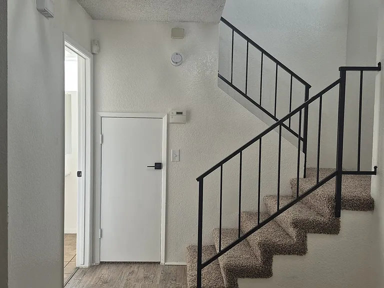 Tiger Ln — Photo 21