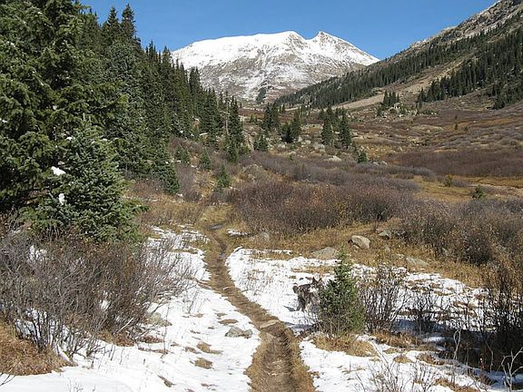 5th image of 38 Acres Beautiful Land Near Twin Lks