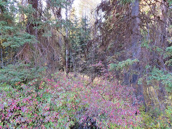 5th image of Tbd Hwy 20