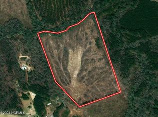 0 Cortez Morrison Rd, Broadway, NC 27505