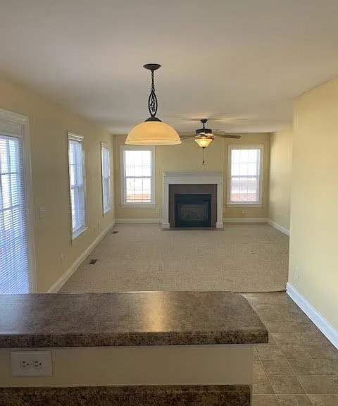 3536 Lena Ln — Photo 9