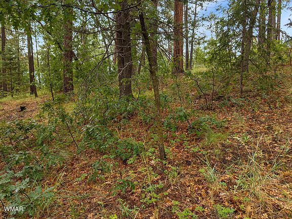 4th image of 8 County Road 2070