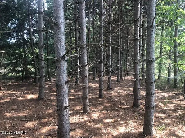 Hoover Rd, Barryton, MI 49305