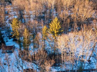 Ml As 98 Larry Dr, Prescott, MI 48756