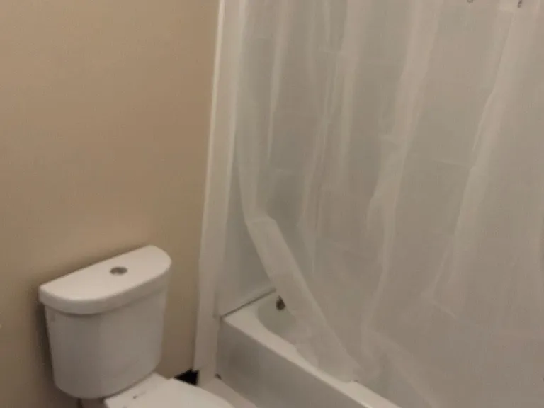 52 Alden St #202 — Photo 4