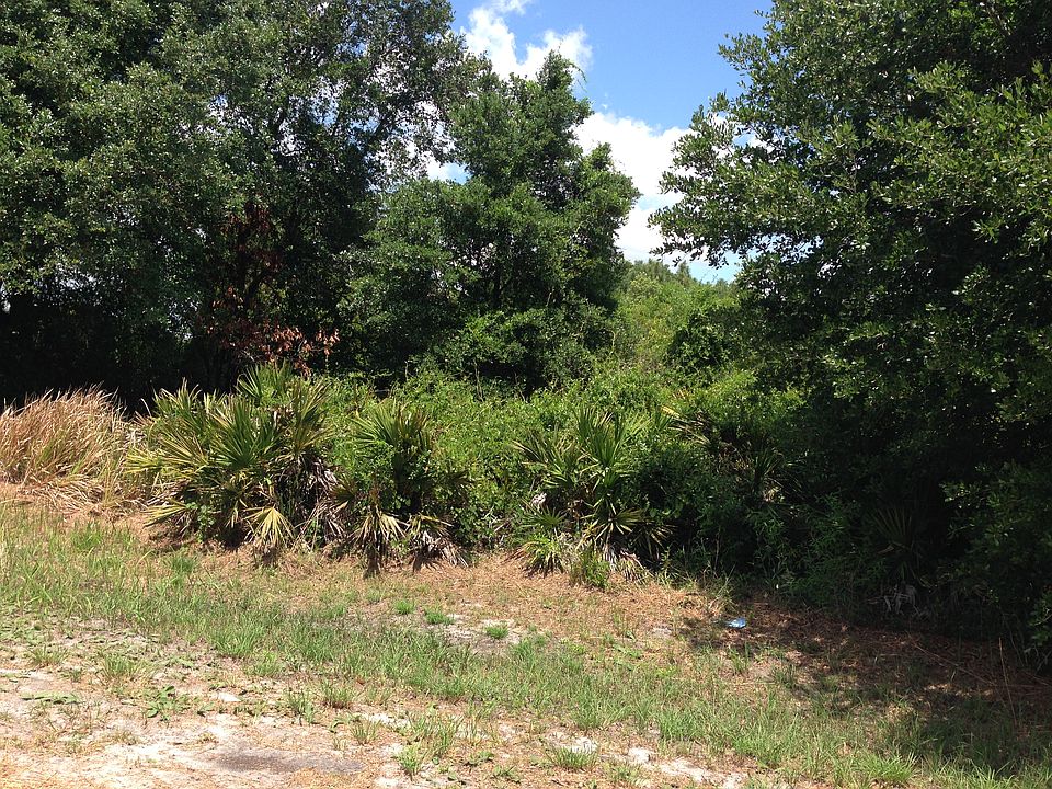 2nd image of 175 Tall Oaks Trl