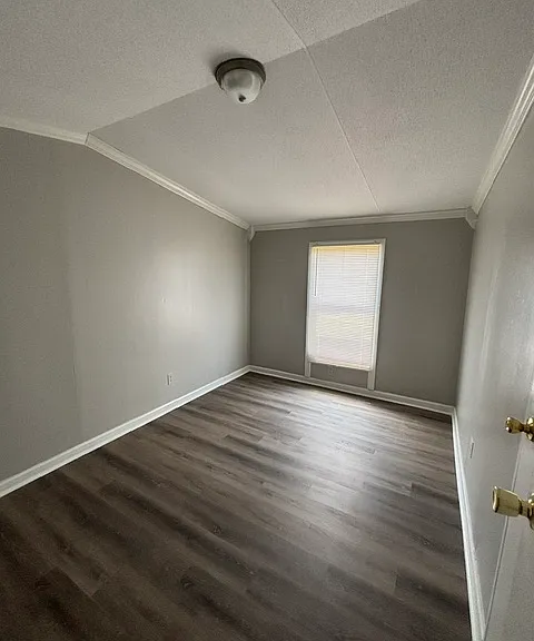 101 County Road 447 — Photo 9