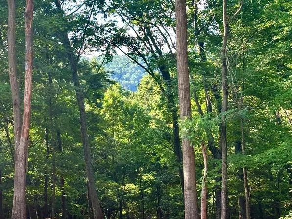302 Winterberry Dr, Moorefield, WV 26836