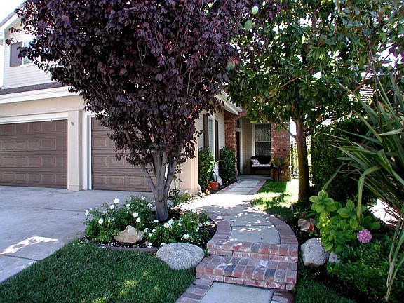 Front  Walkway