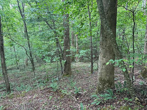 5th image of 15.78 Ac Hwy #64W
