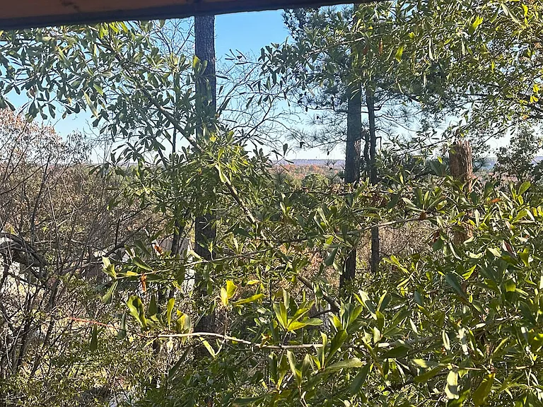 views from bedrooms