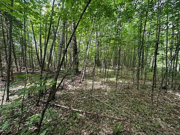 3rd image of 56AC Black Forest Rd