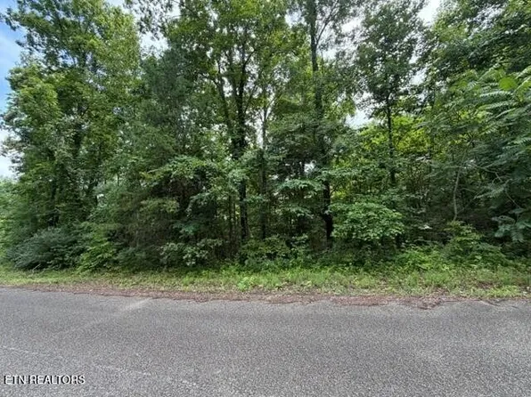0 Saddleridge Dr Lot 95, Speedwell, TN 37870