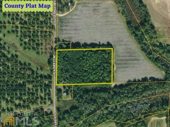 0 Old State Highway 3, Pelham, GA 31779