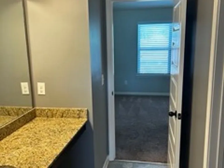 623 Meadow Grass Ln — Photo 17