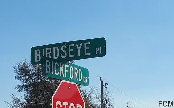 4th image of 15 Birdseye Pl
