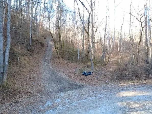 14001 Ridgeview Nellis Rd, Ashford, WV 25009