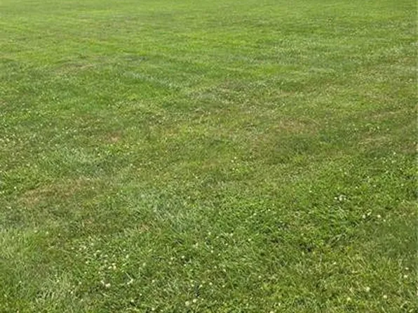 0 Reed St, Mc Clure, OH 43534