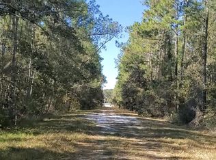 138 Hazel Ave, Georgetown, FL 32139