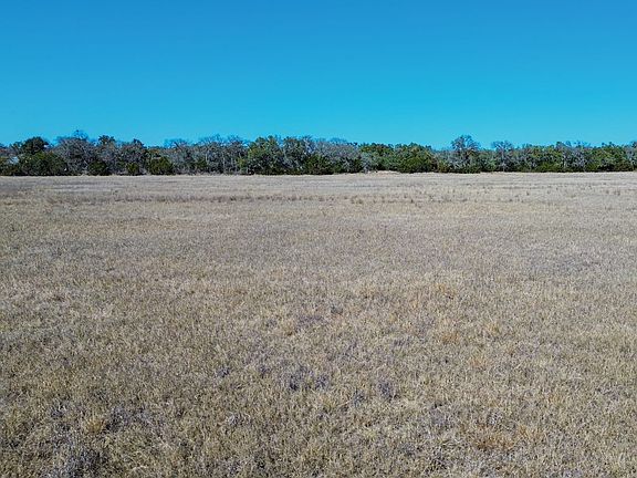 Blanco63 Largesize 38