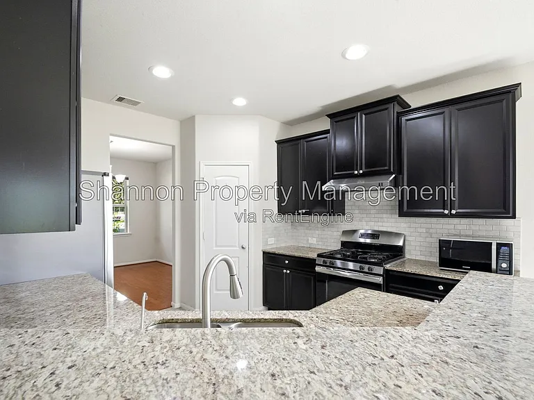 20203 Peralta Cliff Trl — Photo 13