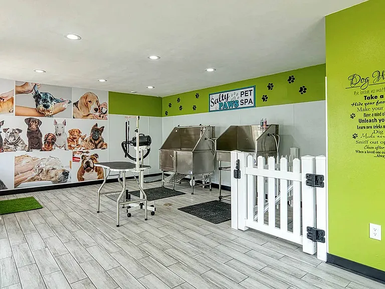 Welcome to the Salty Paws DIY Pet Spa