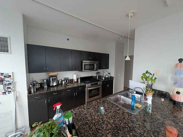 8 E Randolph St #3101 — Photo 15