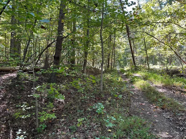 412 Smith Rd Lot 412, Spring City, TN 37381