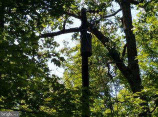 Risk Rd, New Market, VA 22844