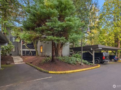 8023 145th Avenue NE #16B, Redmond, WA, 98052