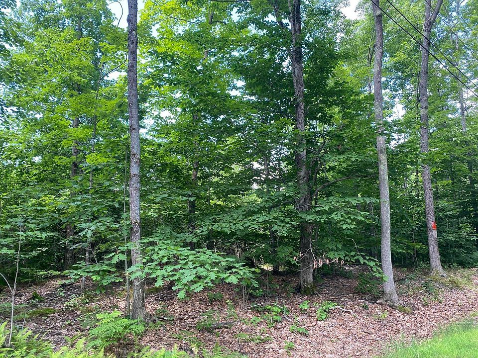 2nd image of Lot 2 Sligo Road